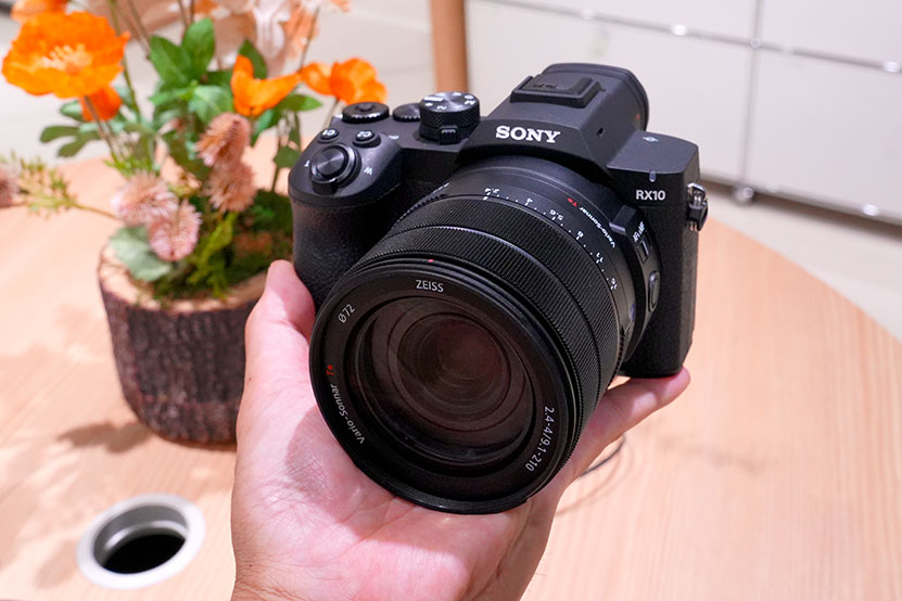 RX10V 手にした画像