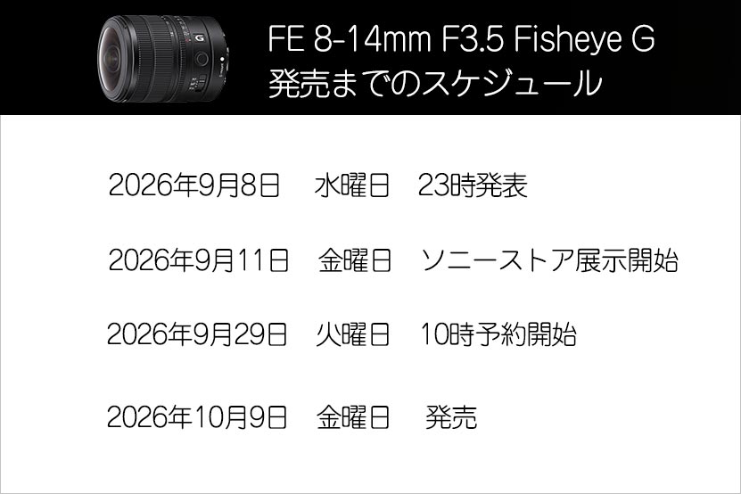 発売までのスケジュール