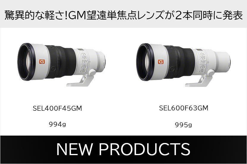 ブログ記事トップ画像