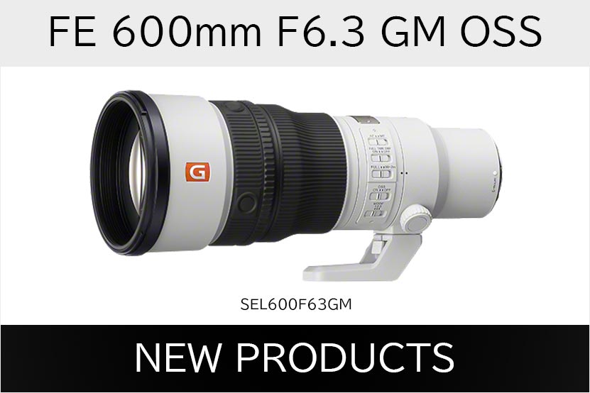 FE 600mm F6.3 GM OSS商品画像