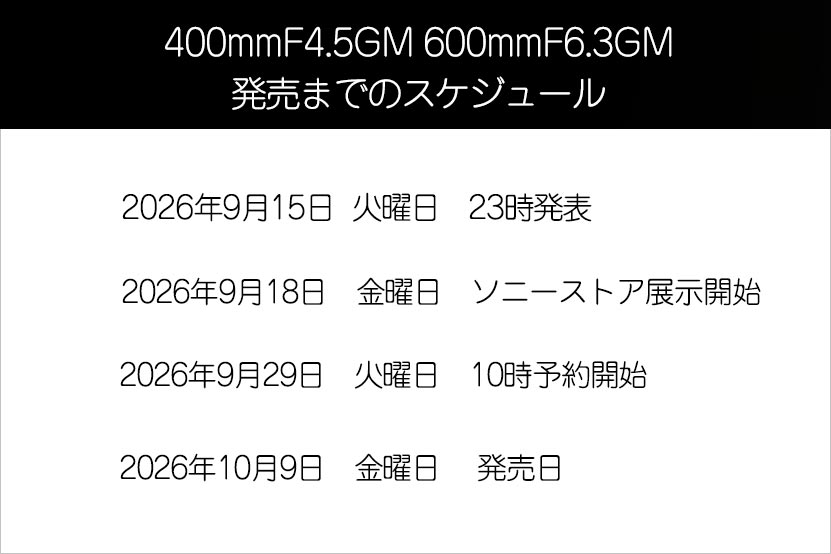 発売までのスケジュール