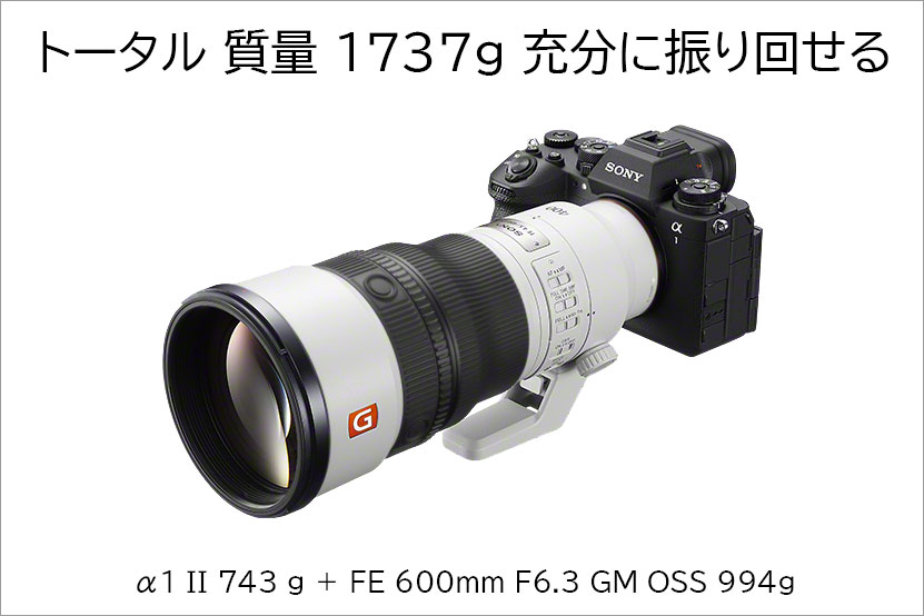 FE400mmF4.5GMOSS α1II装着時