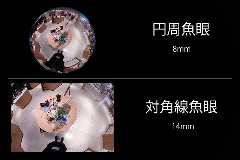 円周と対角 作例比較