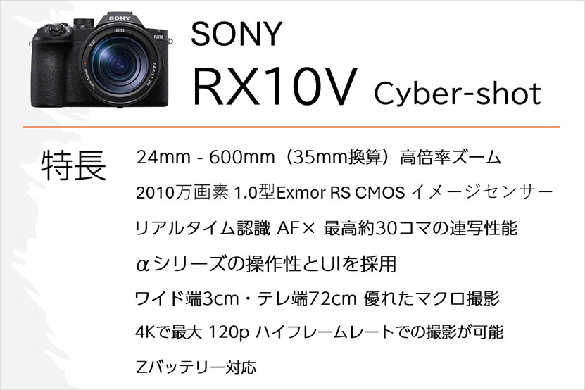 RX10V 特長