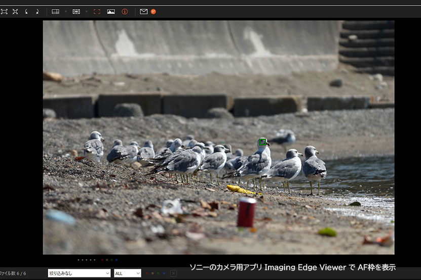 RX10V 被写体認識