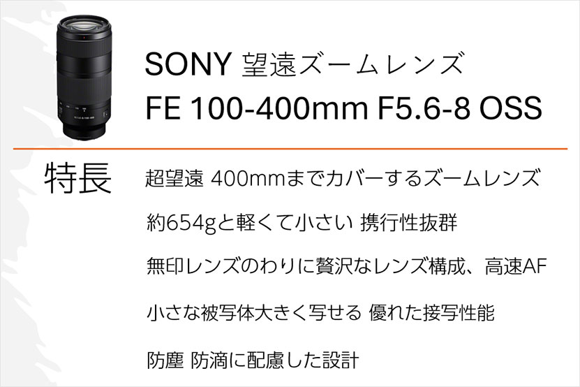 SEL100400 主な特長