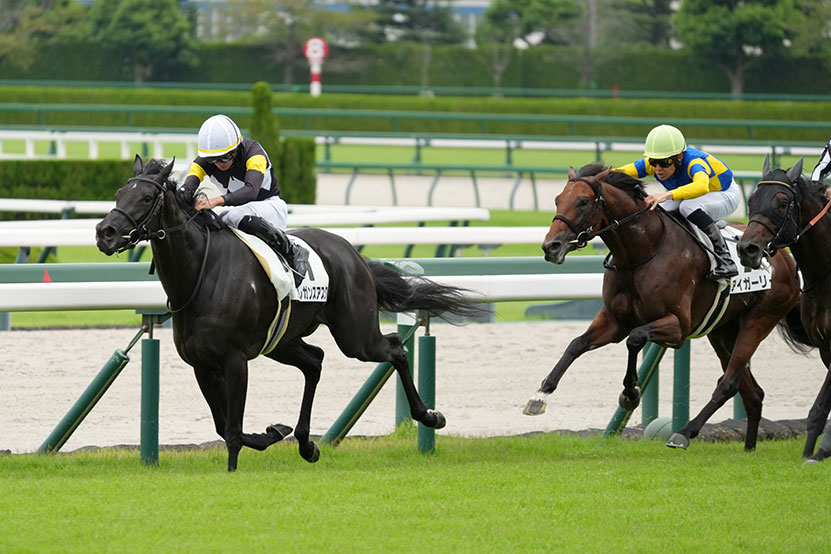 SEL100400 作例 スポーツ 競馬