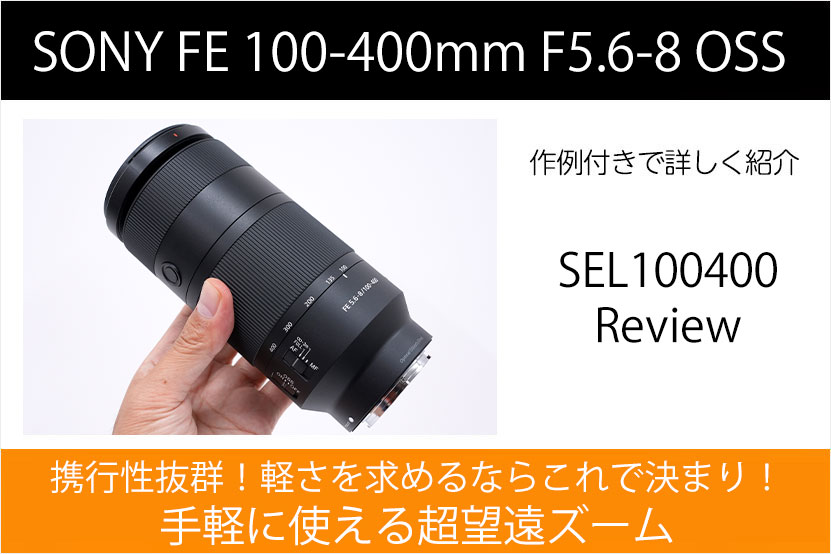 ソニー100400レビュー作例 トップ画像