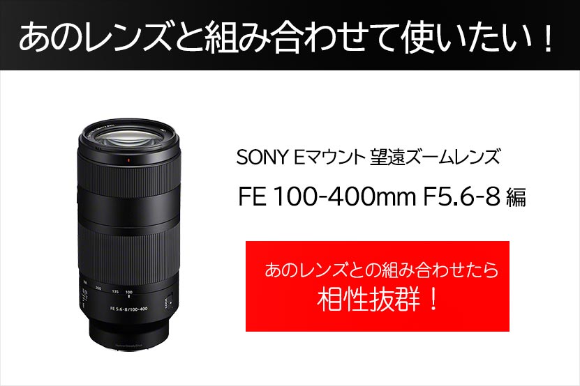 あのレンズと組み合わせて使いたい! FE 100-400mm F5.6-8 編 ブログ記事トップ