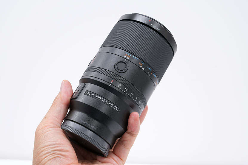 手にもったSEL100M28GM