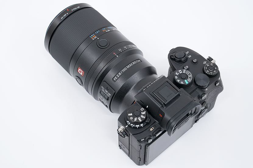 α1との組み合わせたSEL100M28GM