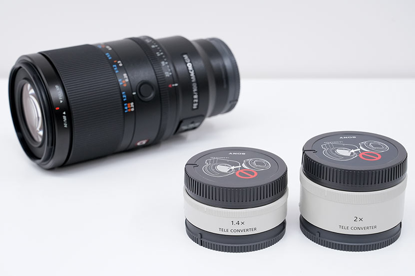 テレコンバーターとSEL100M28GM