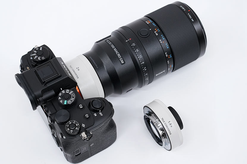 テレコンバーターをセットしたSEL100M28GM