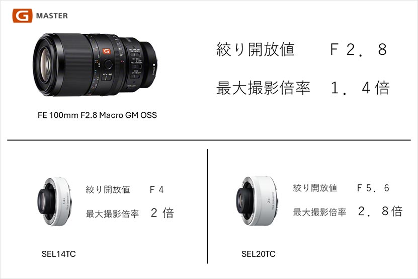 テレコンバーター装着時の最大撮影倍率の変化