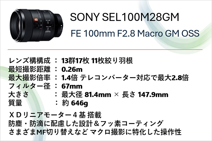 SEL100M28GM 主な仕様