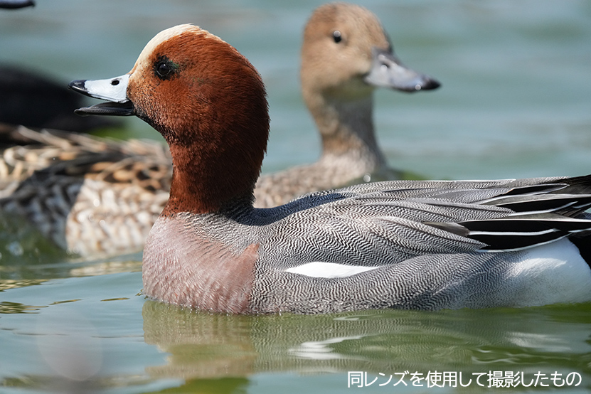SEL400800G 作例