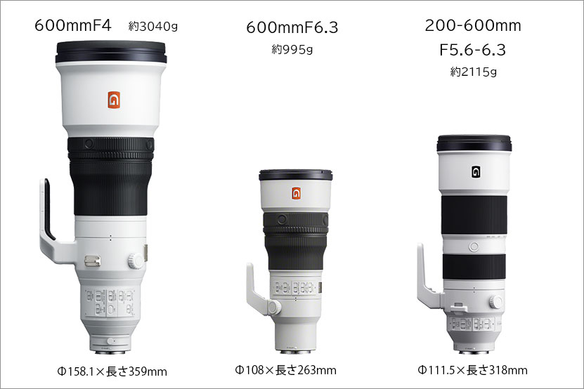 600mm ほかレンズとの比較画像