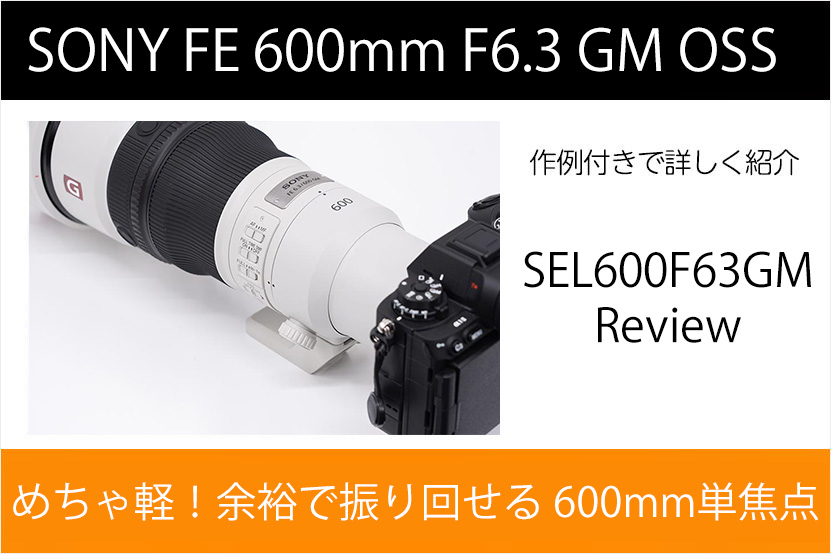 FE 600mm F6.3 GM OSS レビュー トップ画像