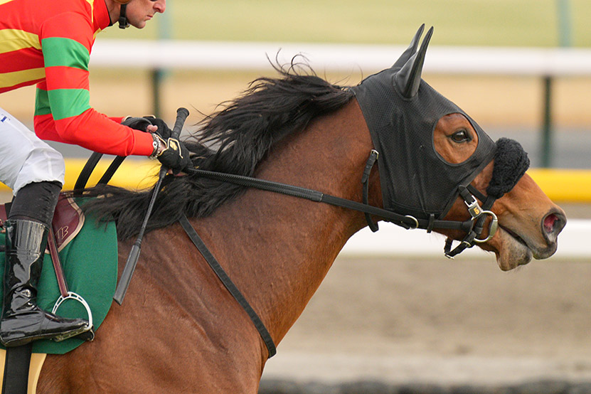 SEL70200GM2 作例　AFスピード