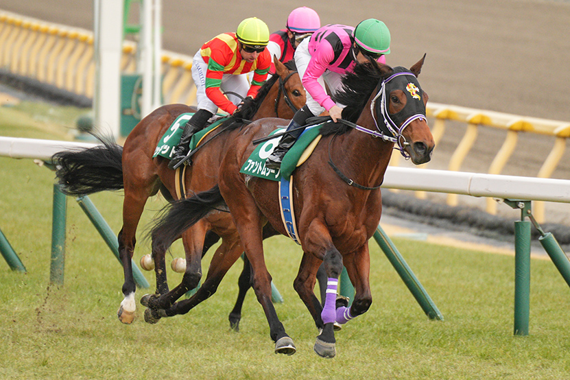 SEL70200GM2 作例 競走馬