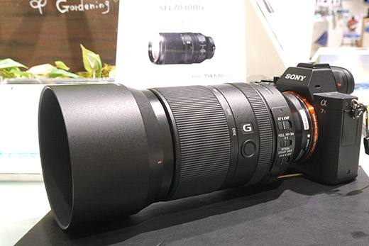 Gレンズらしいボケ味と高速AF 「FE 70-300mm F4.5-5.6 G OSS」試写してきました！ - ソニー商品のレビューはお任せ！ ソニーショップさとうち  ブログ