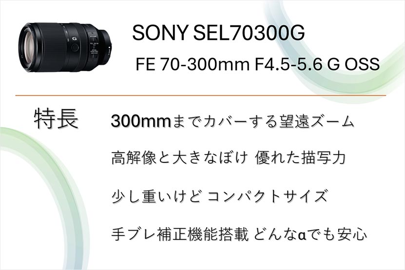 SEL70300Gの特長