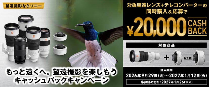 テレコンバーターキャンペーンのお知らせ