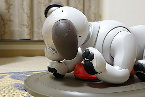 アイボ「aibo（ERS-1000）」のひかりに足裏パッド(ERA-1021）を装着してみた！ - ソニー商品のレビューはお任せ！  ソニーショップさとうち ブログ