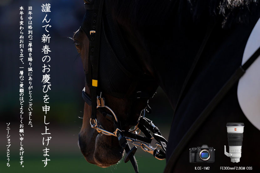 新年のごあいさつ