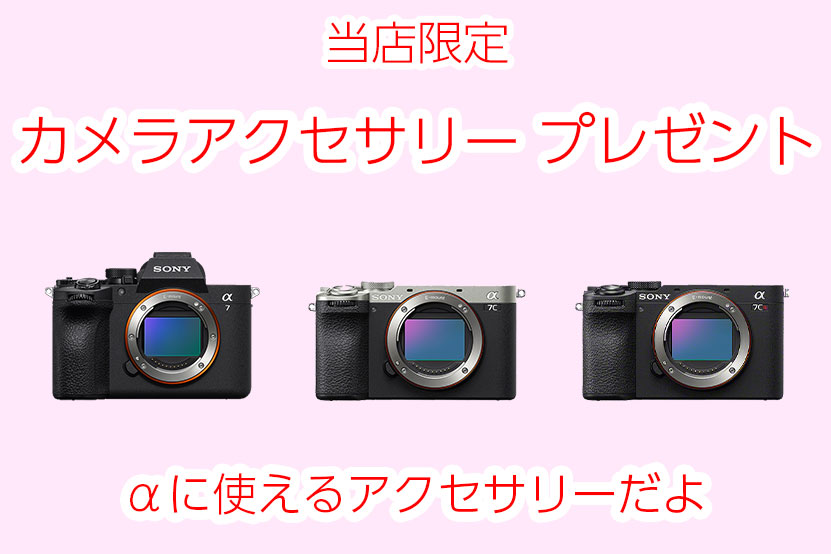 メラ限定 アクセサリープレゼントの画像