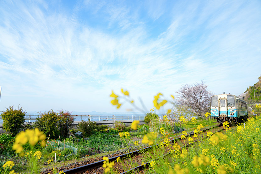 2026年3月の写真 ~伊予灘の春~