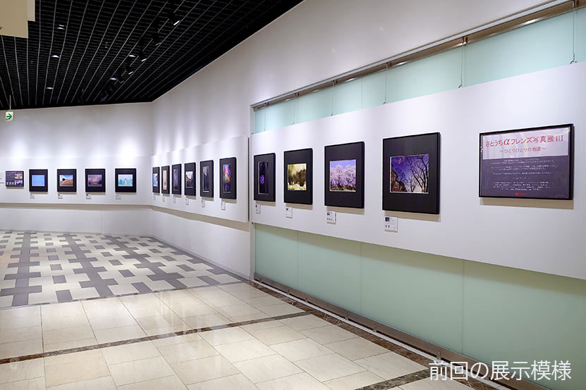 αフレンズ写真展 出展風景
