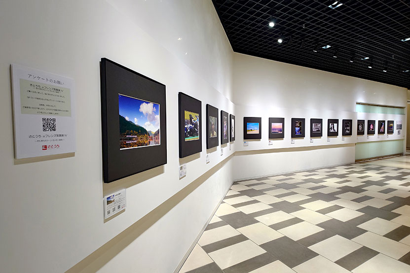 αフレンズ写真展 出展風景2