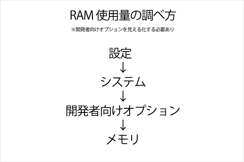 開発者向けプションが見えたら